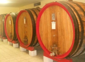 vinkällare Valpolicella