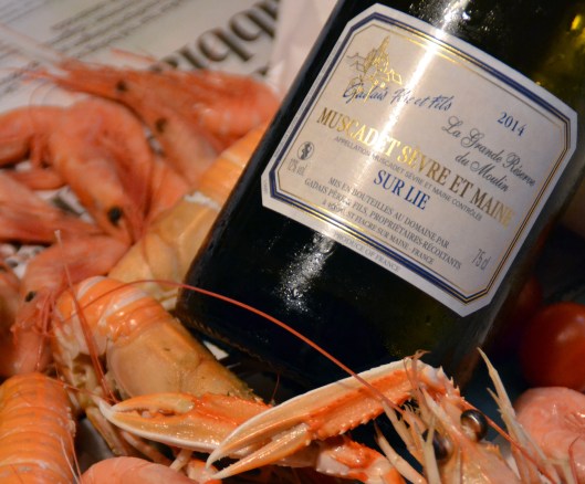 muscadet sèvre et maine