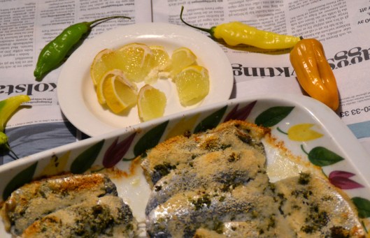 gratinerad strömming