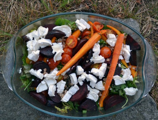 sallad m morötter rödbetor & chevre